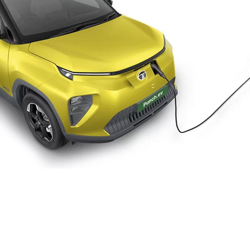 Untitled design (38)